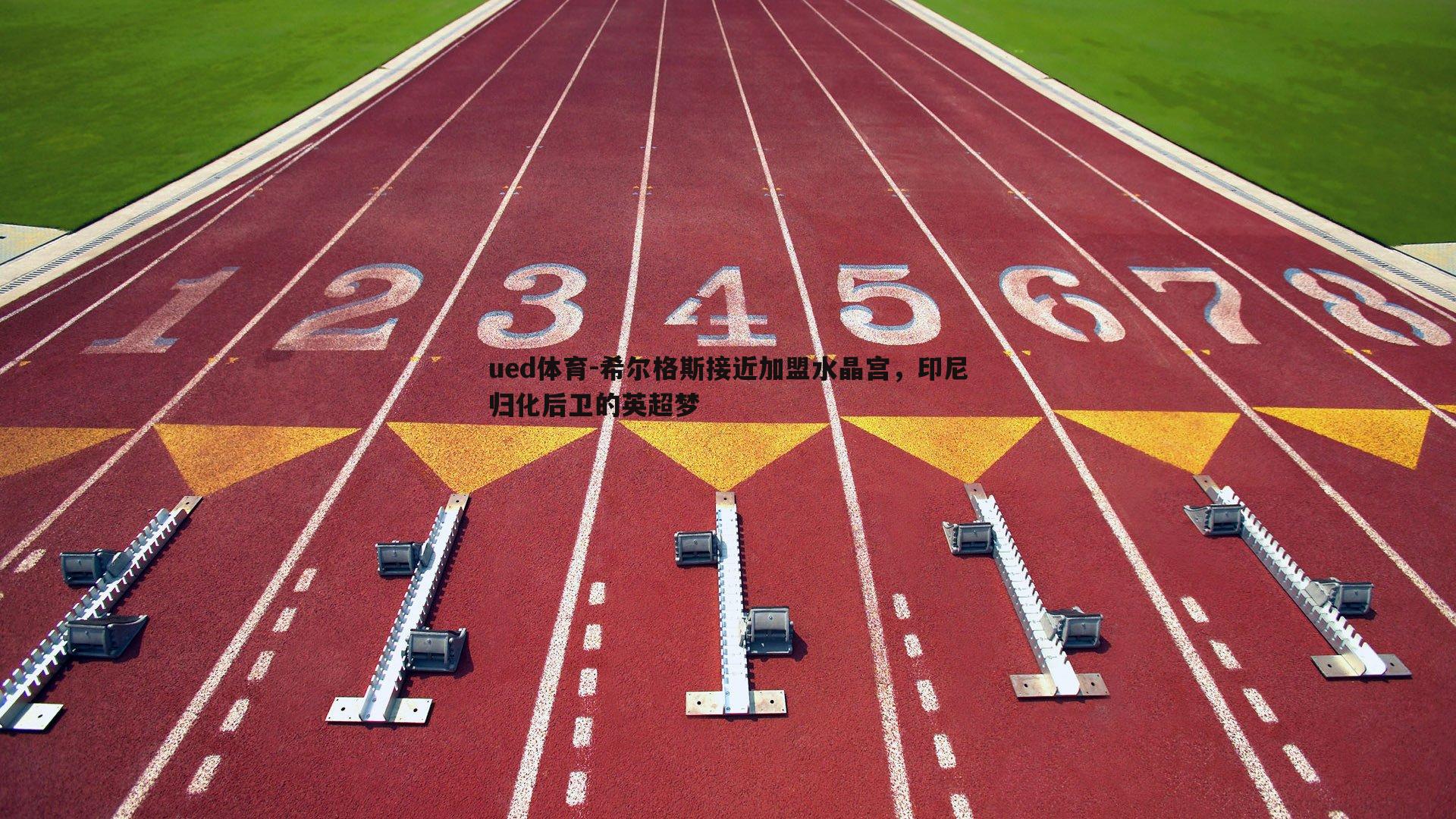 ued体育-希尔格斯接近加盟水晶宫，印尼归化后卫的英超梦